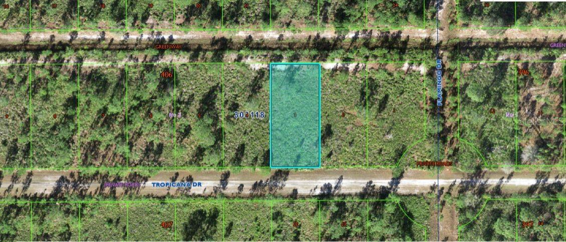 706 Tropicana Drive, FL