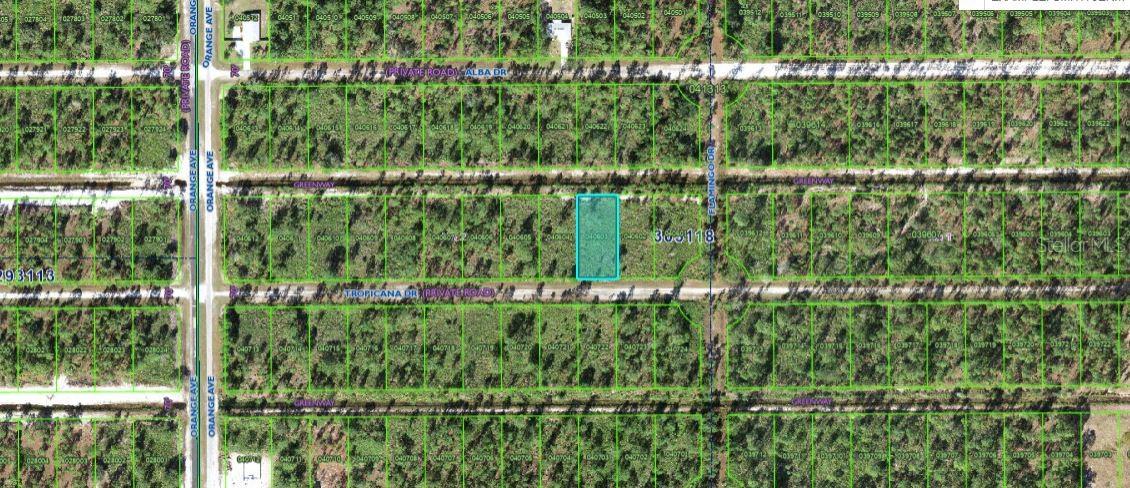 706 Tropicana Drive, FL