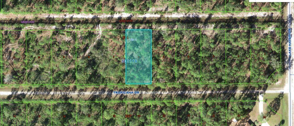 612 Tropicana Drive, FL