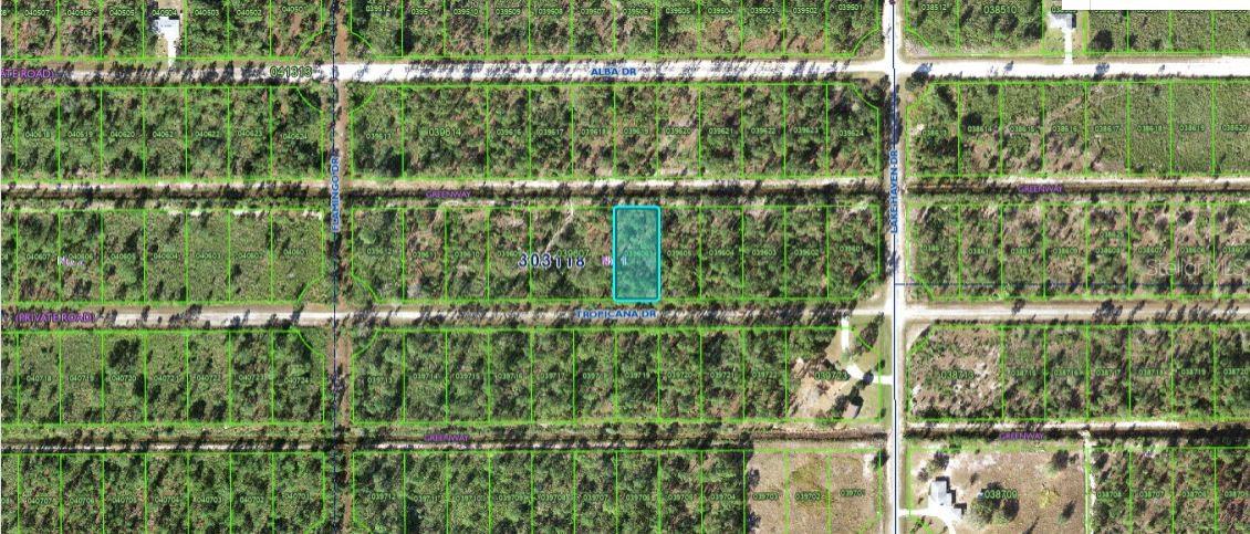 612 Tropicana Drive, FL