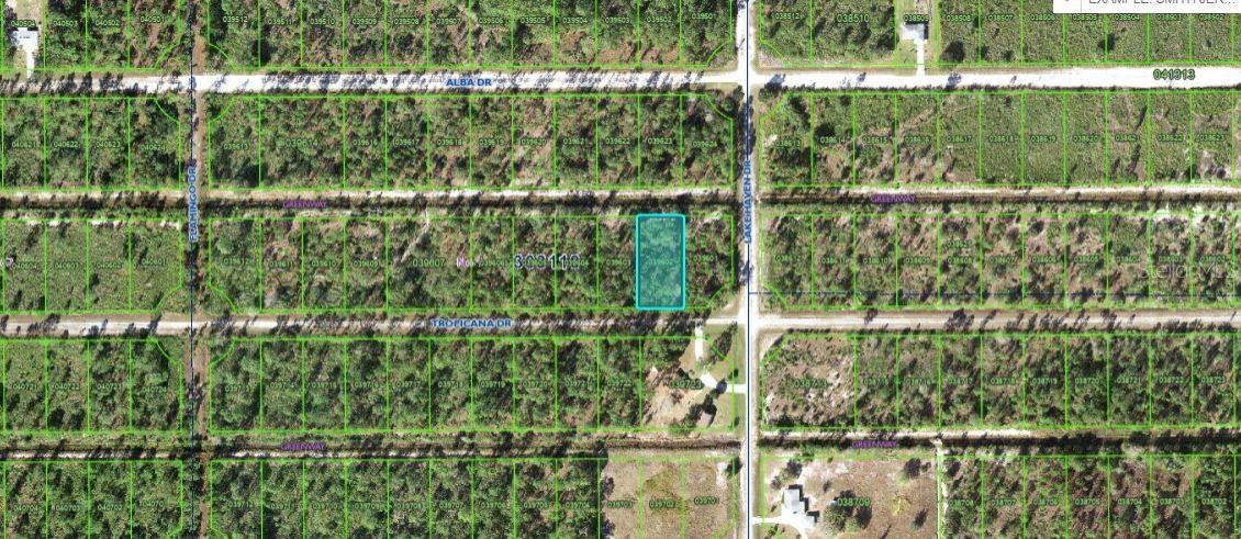604 Tropicana Drive, FL