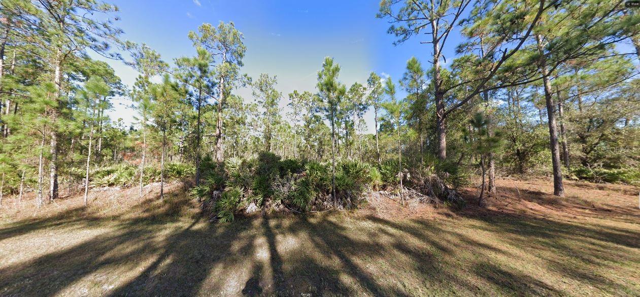 604 Tropicana Drive, FL