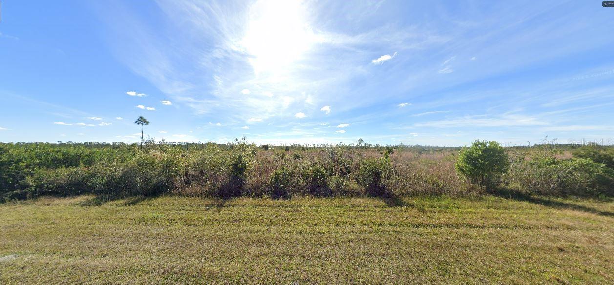 501 Calendula Drive, FL