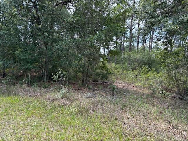 213 Plumosa Drive, FL