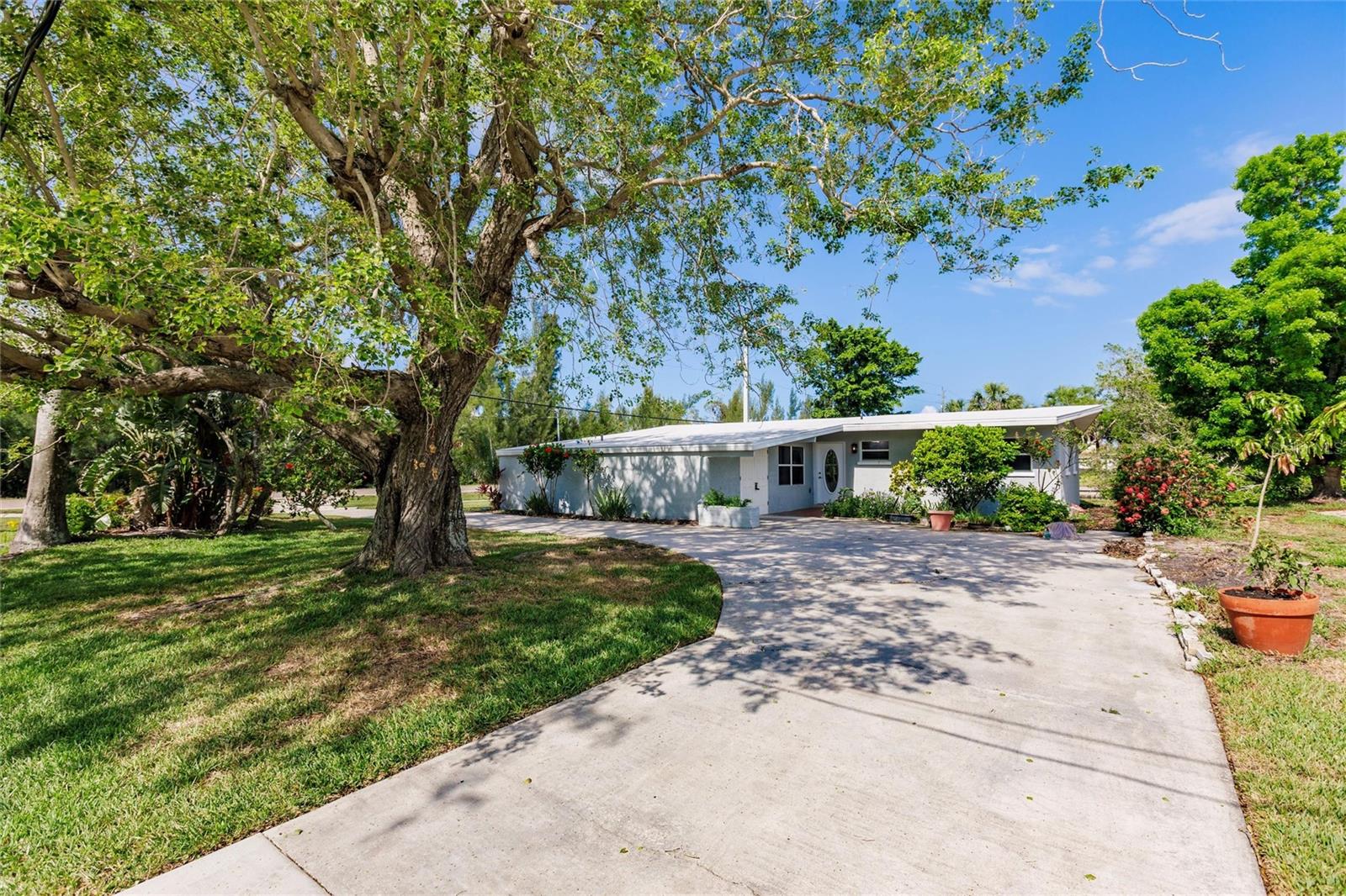 3129 Buttonwood Place, FL
