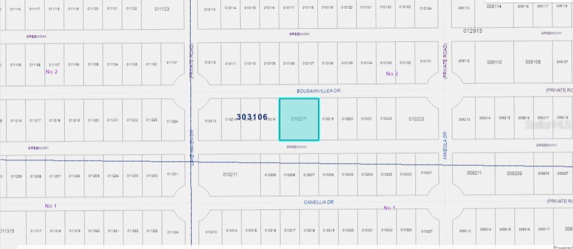 515 Bougainville Drive, FL