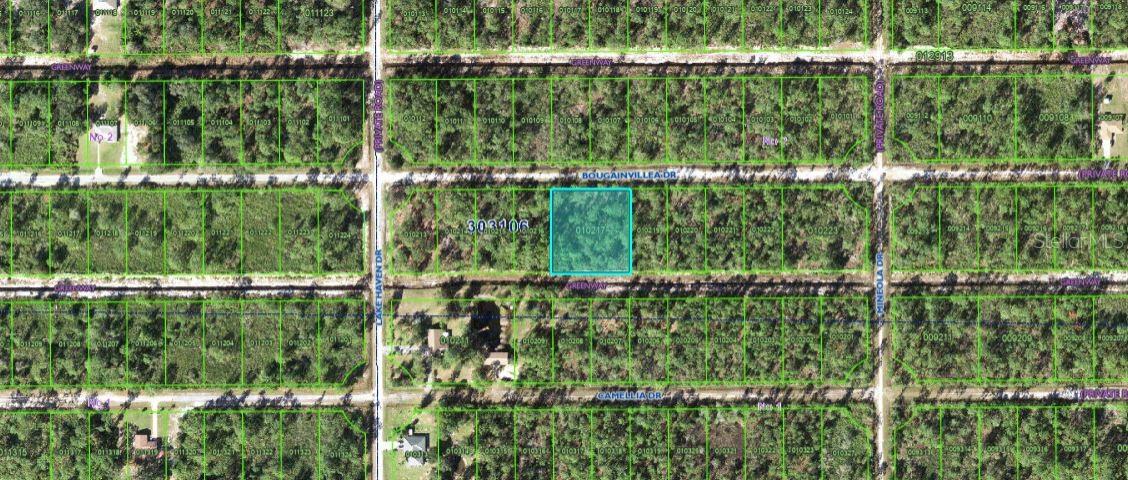 515 Bougainville Drive, FL
