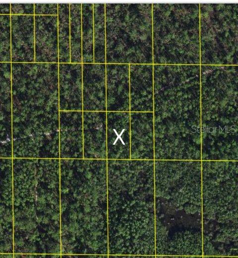 Sr-60, FL