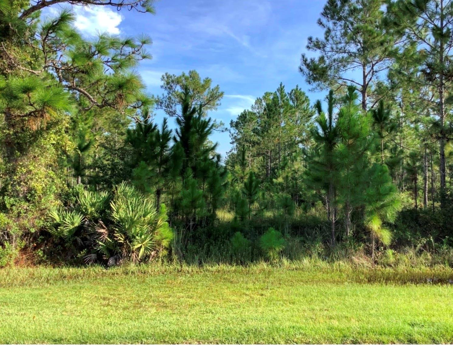 Sabal Street, FL