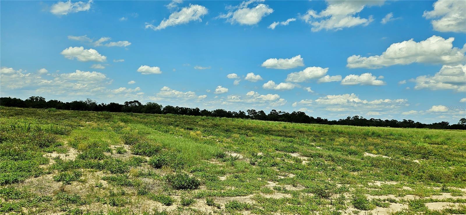 Mammoth Grove Road, FL