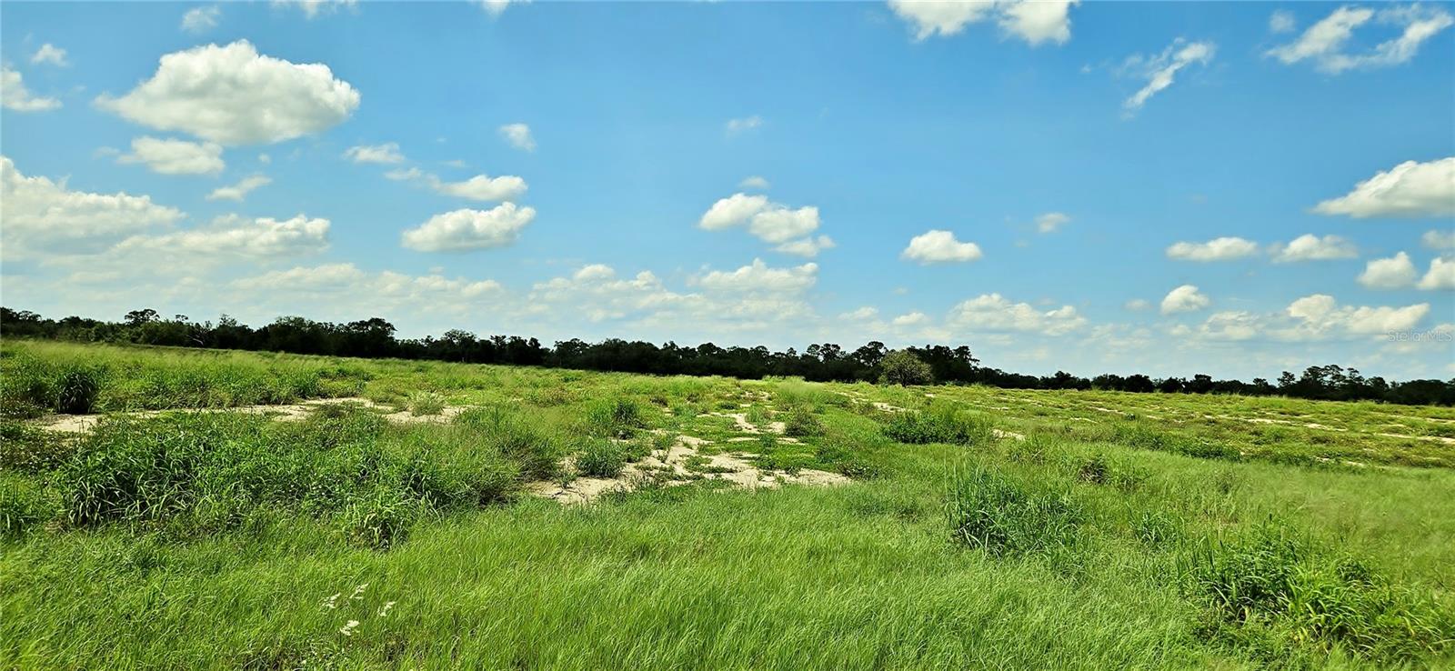 Mammoth Grove Road, FL