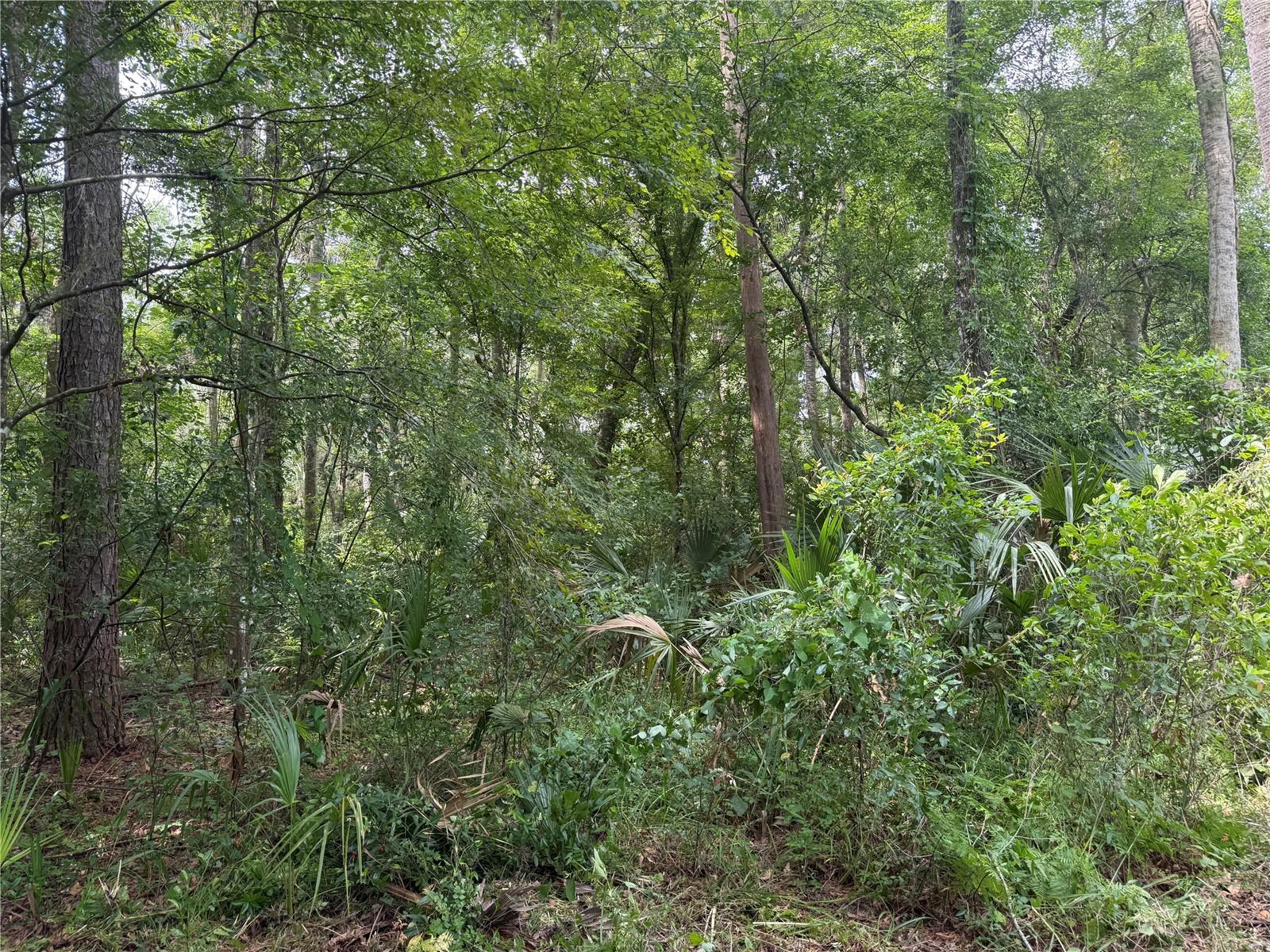 Okaloosa Trail, FL