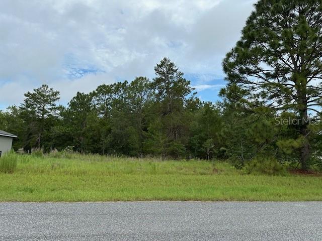 Lot 7 48 Court Road, FL