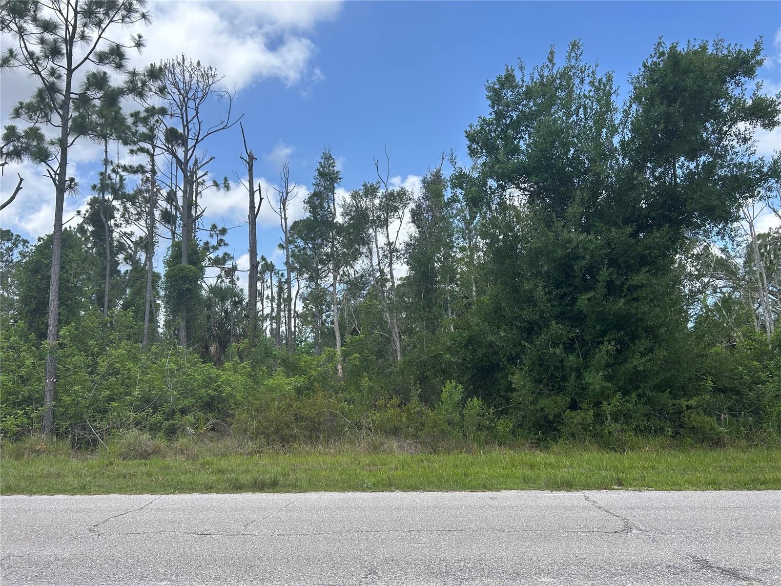14309 Sanilac Avenue, FL