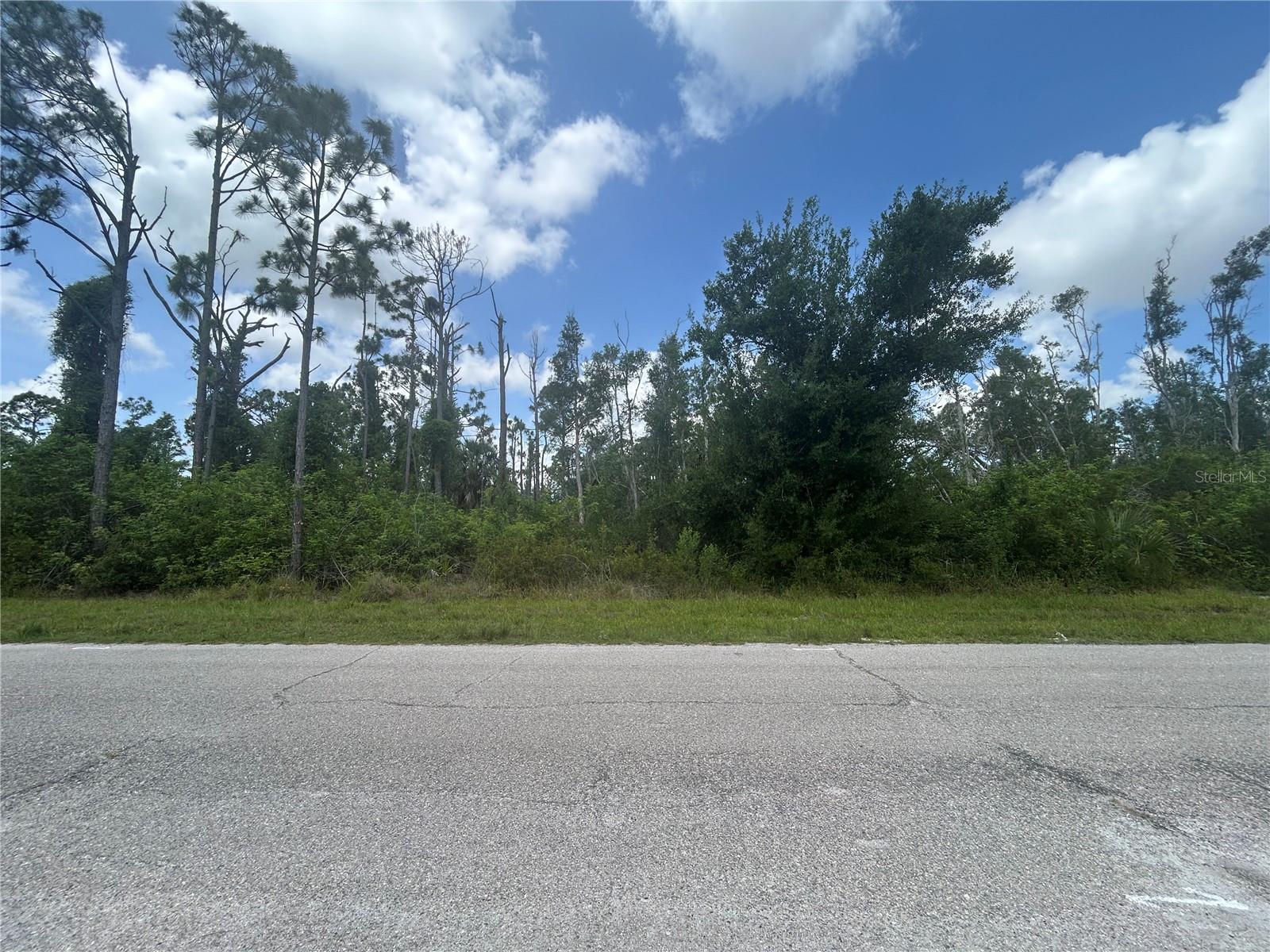 14309 Sanilac Avenue, FL