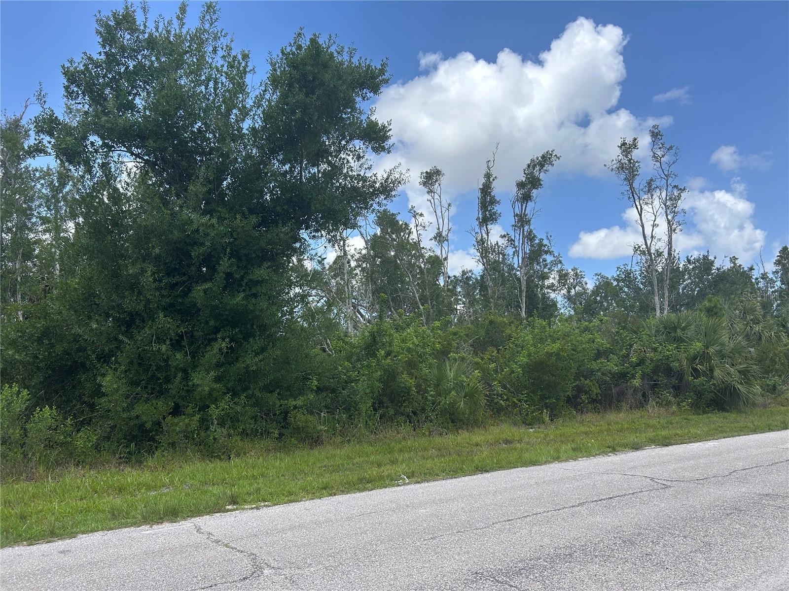 14309 Sanilac Avenue, FL