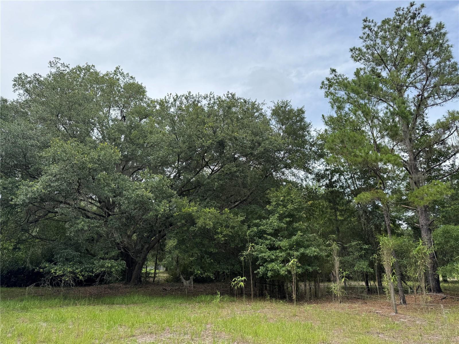 Tbd 67th Boulevard, FL
