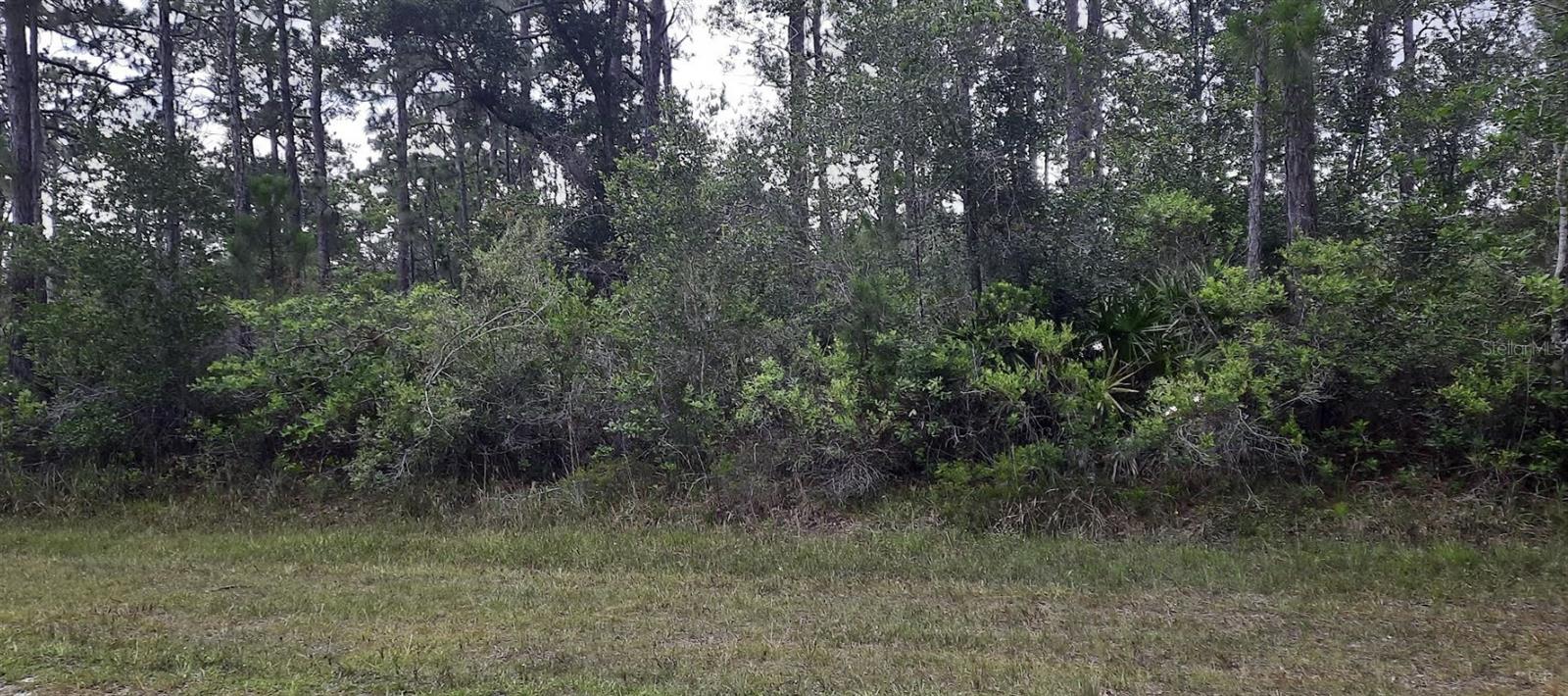 421 Azalea Drive, FL