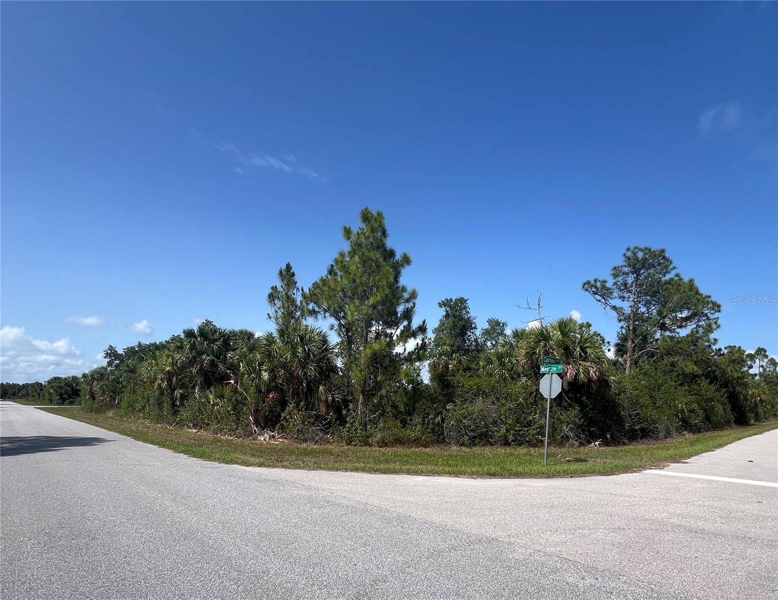 14114 Carney Avenue, FL