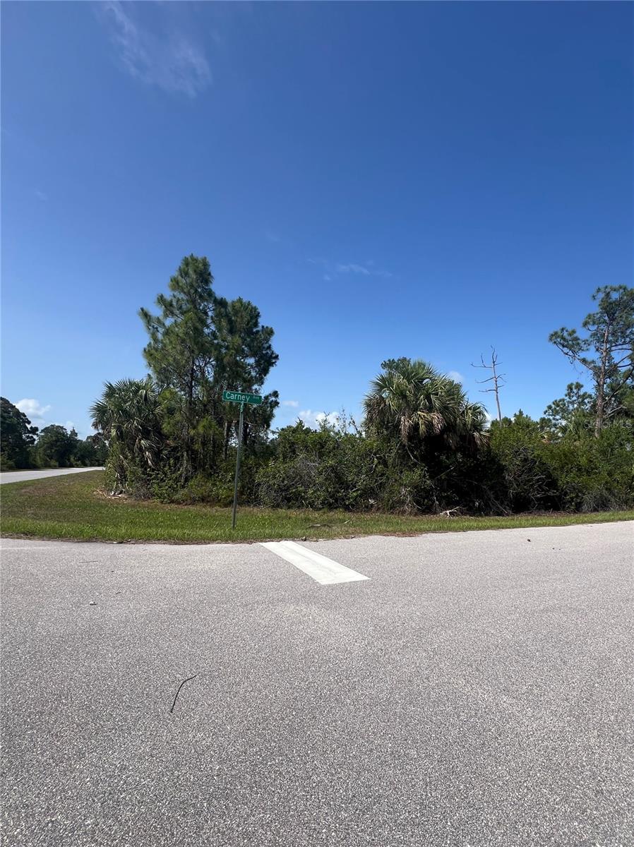 14114 Carney Avenue, FL