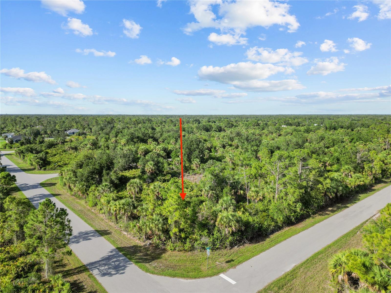 14114 Carney Avenue, FL