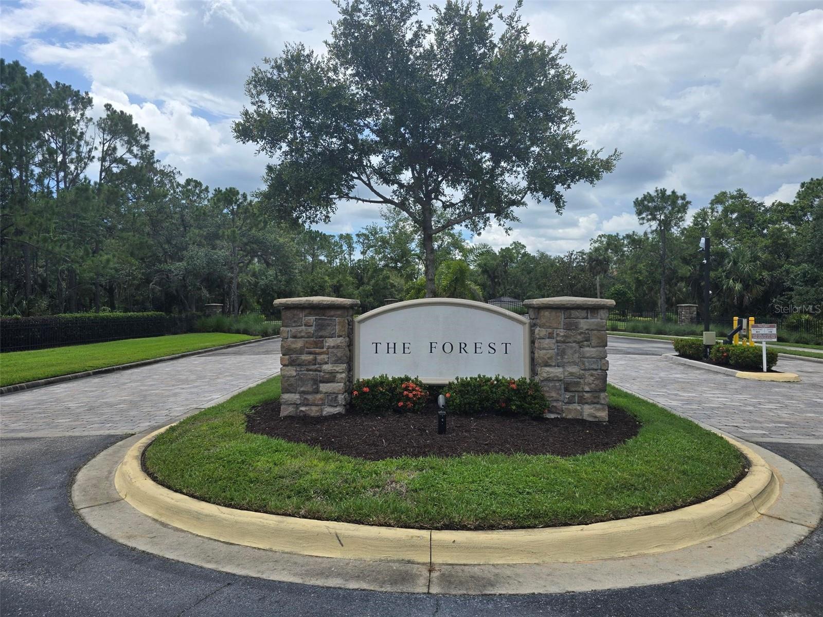 10736 Leafwing Drive, FL
