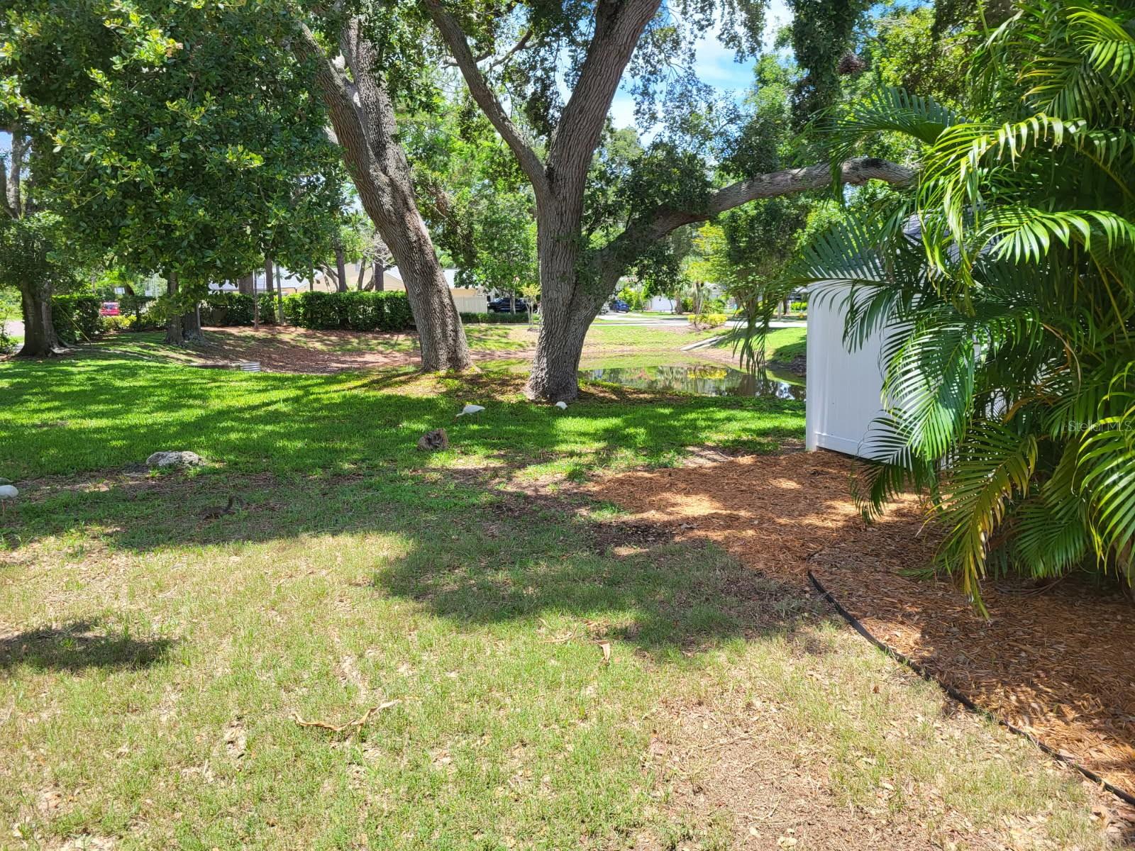 2820 Whitney Road, FL