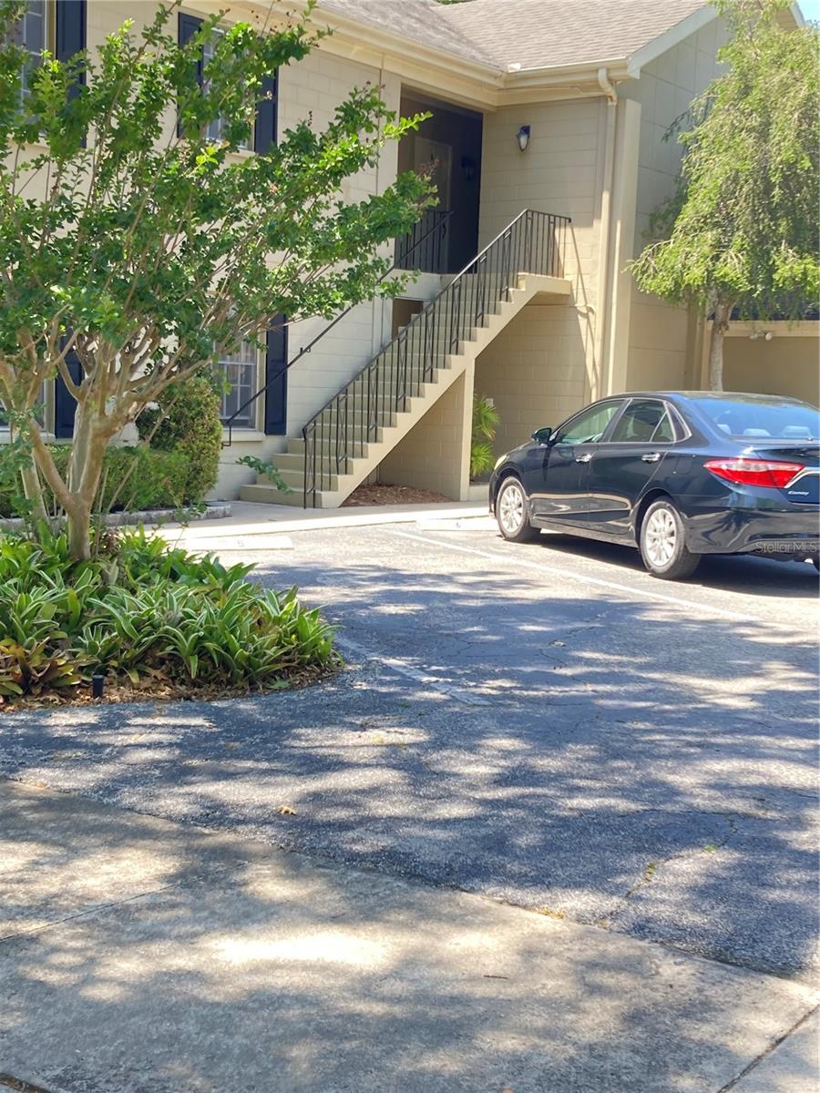 223 Windsor Street, FL