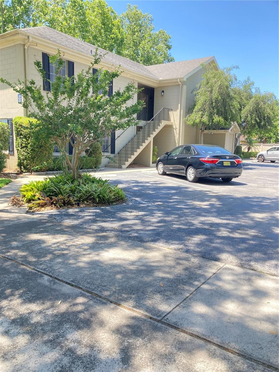 223 Windsor Street, FL