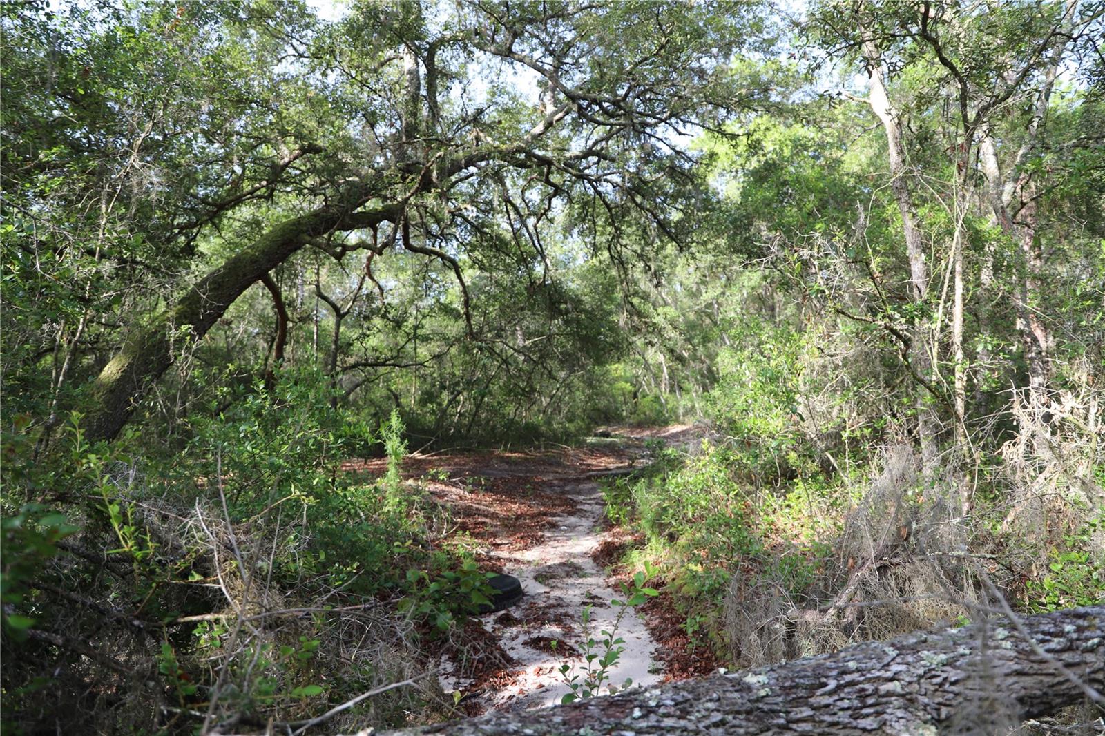 00 State Road 100, FL
