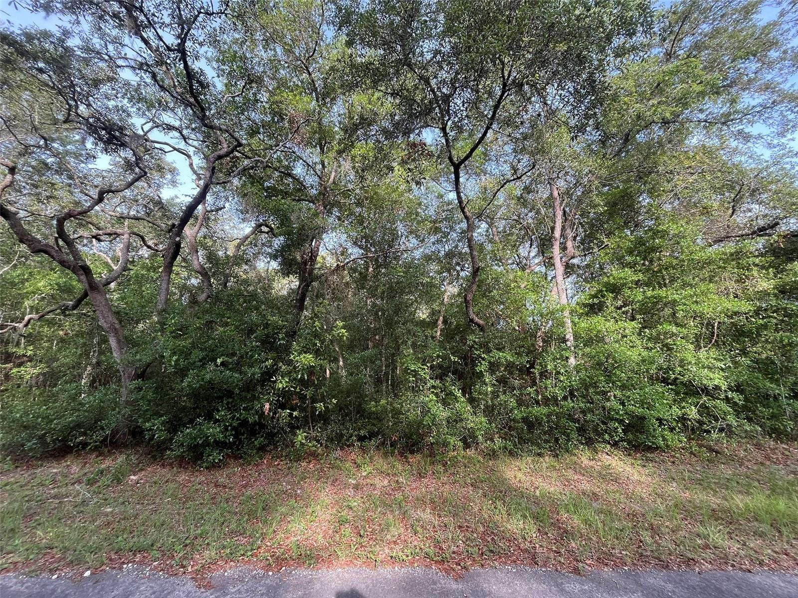 6634 Pagoda Tree Terrace, FL