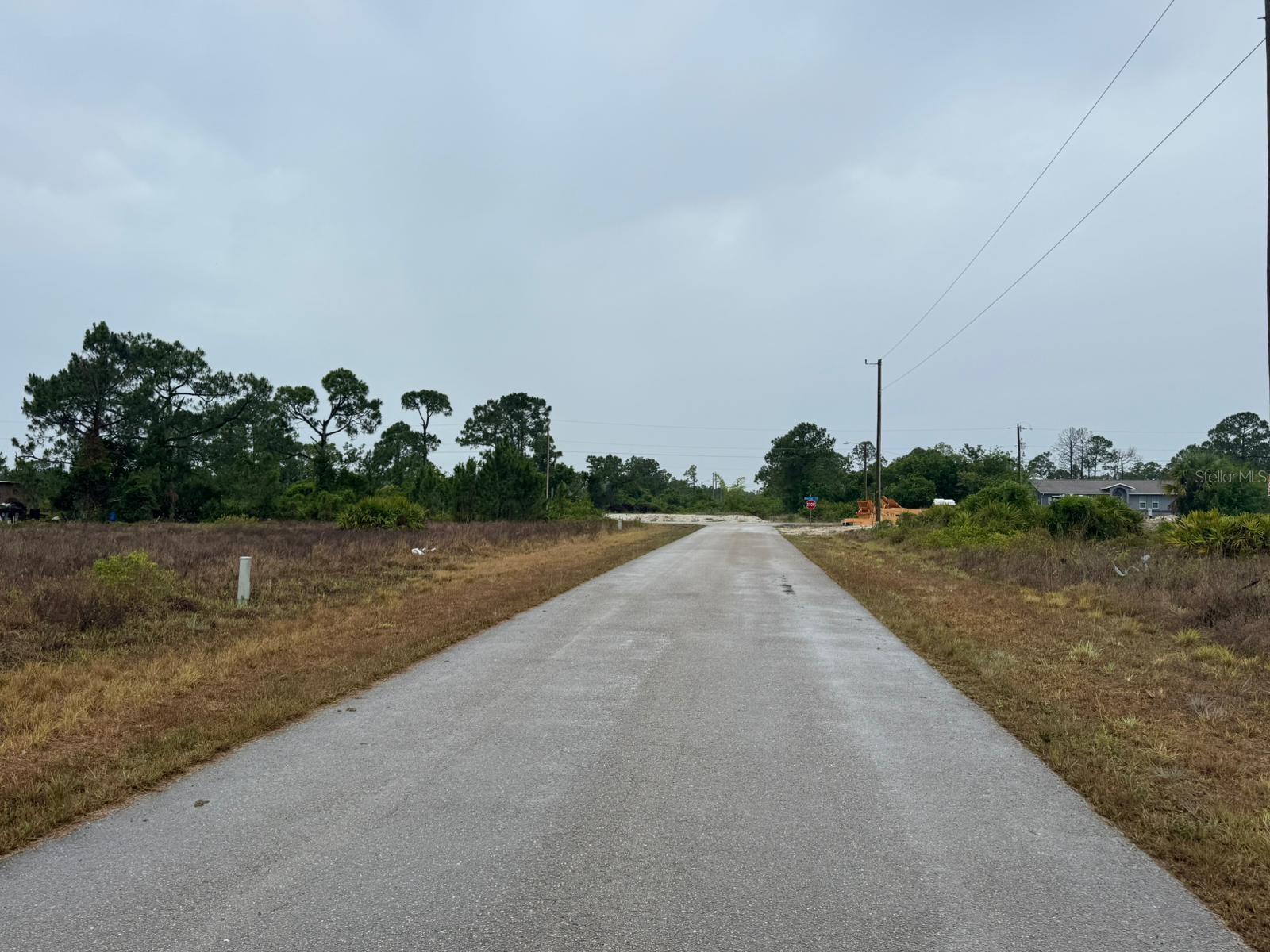 1142 Ecrue Street, FL