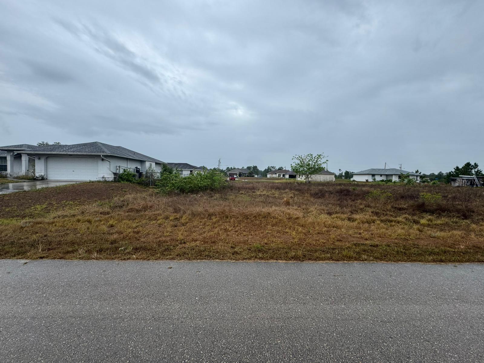 1142 Ecrue Street, FL