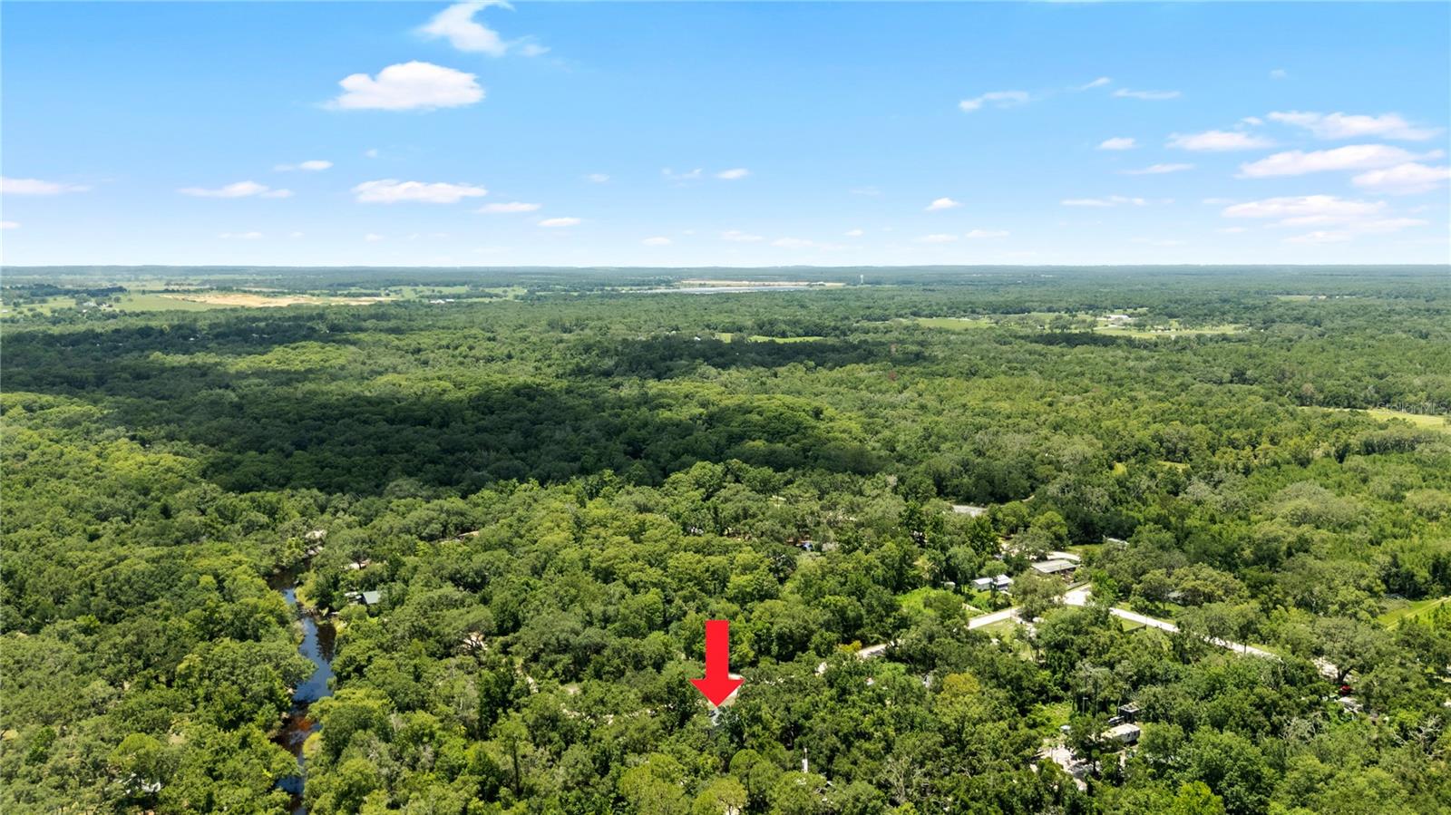34147 Ringwalt Drive, FL