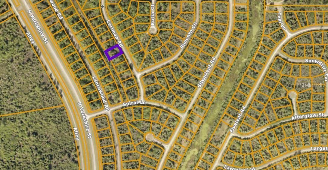 Ceriman Road, FL