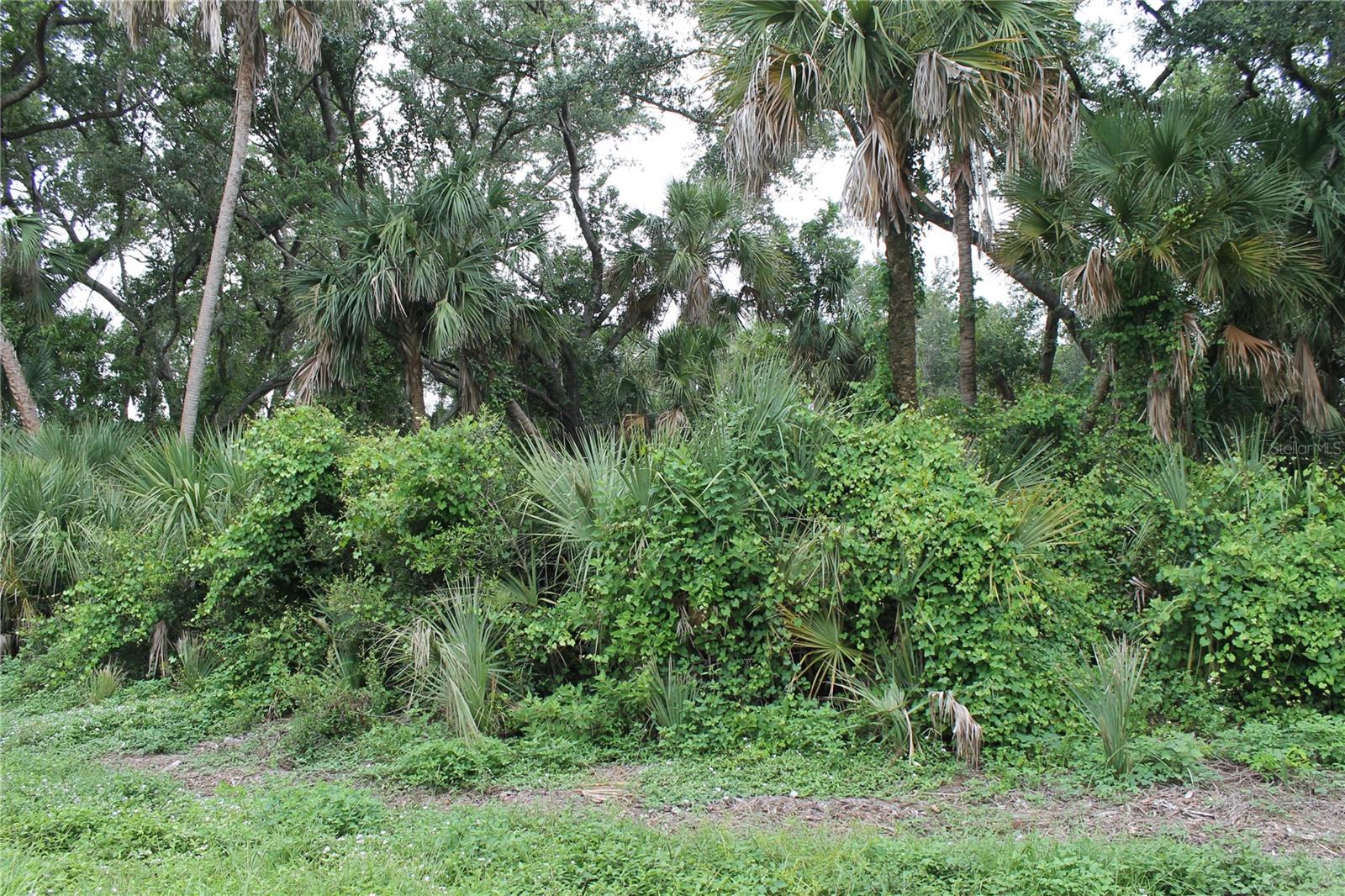 18106 Sinatra Avenue, FL