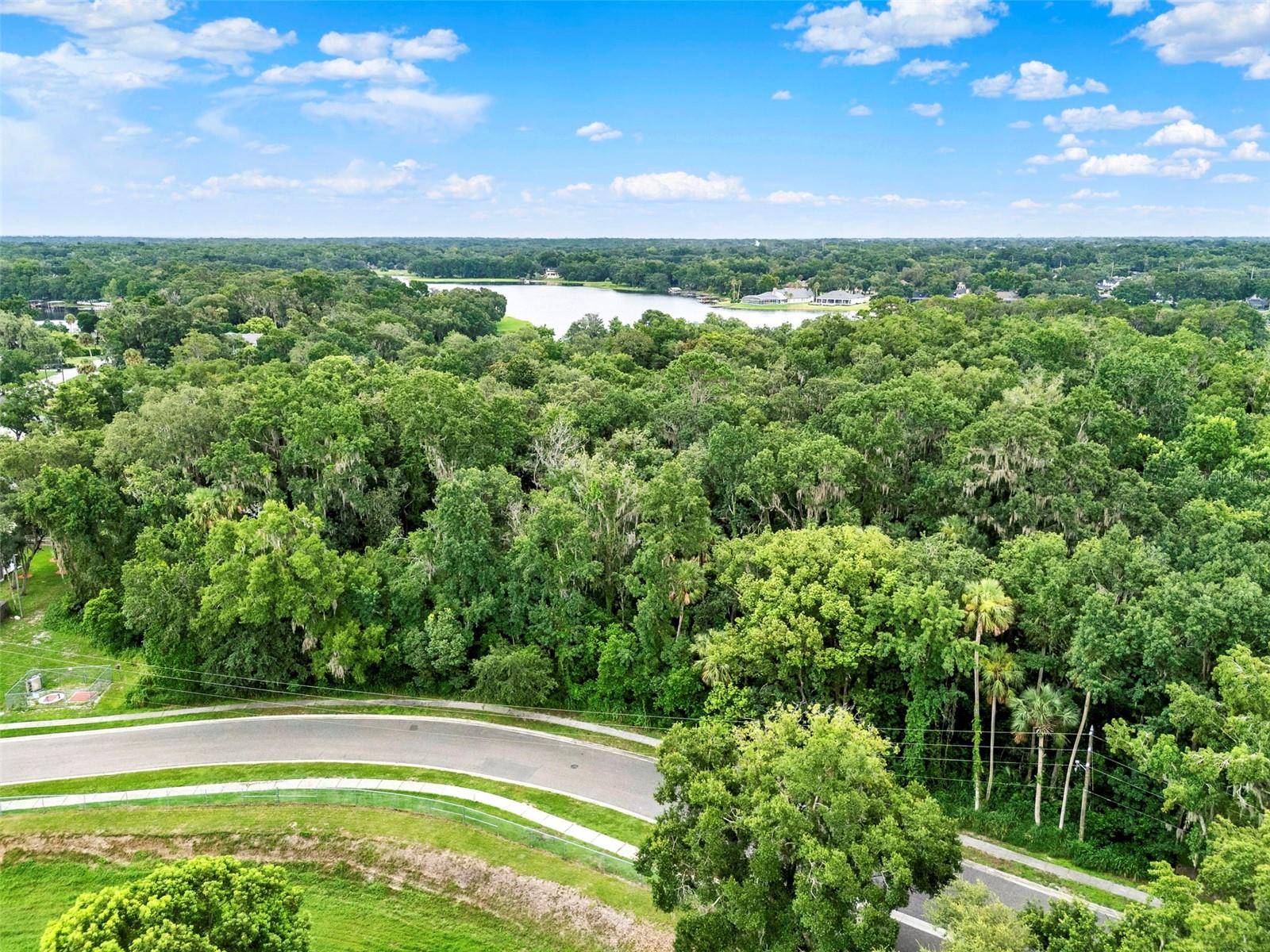 390 Lake Mccoy Drive, FL