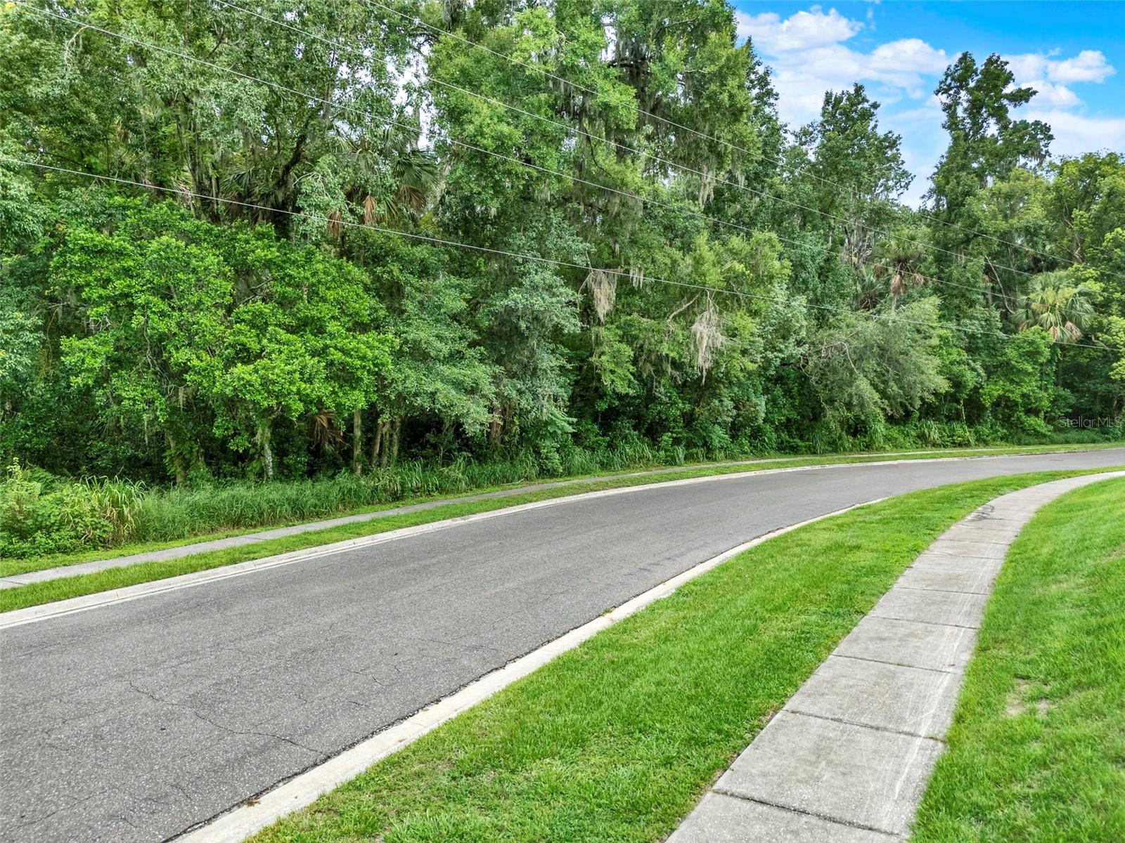 390 Lake Mccoy Drive, FL