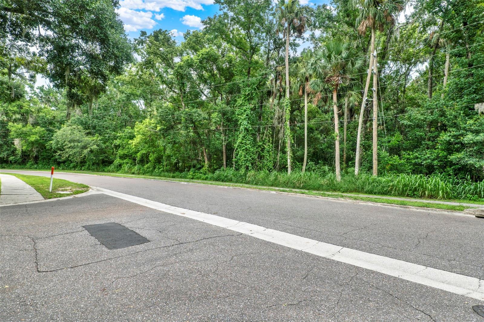 390 Lake Mccoy Drive, FL