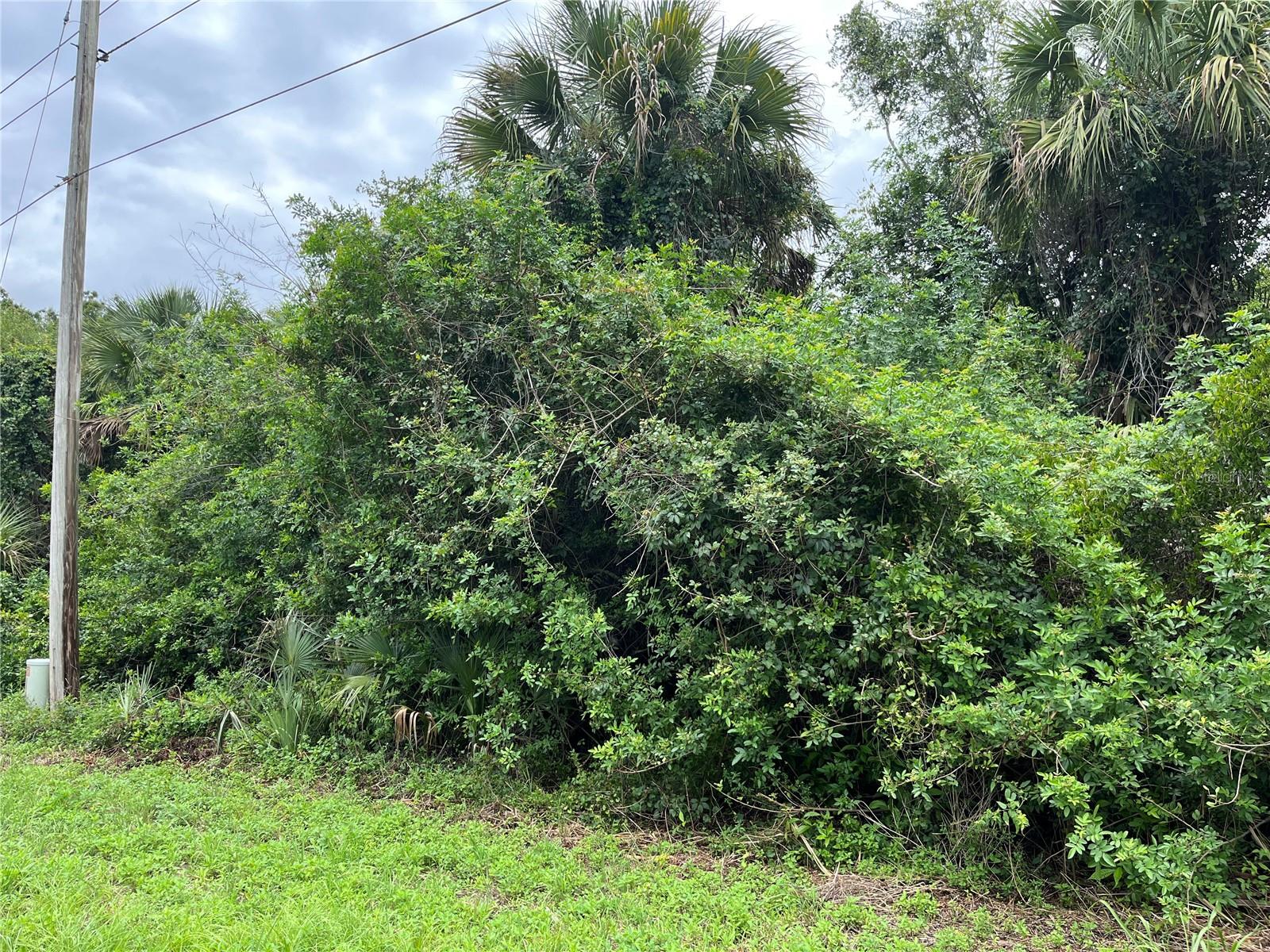 160 Mcarthur Boulevard, FL