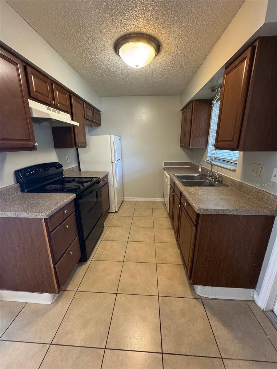 1230 Sago Palm Boulevard, FL
