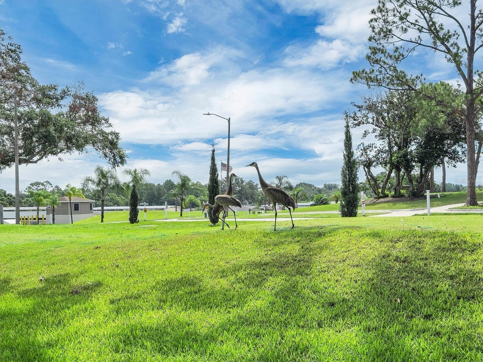 502 Par Pines Boulevard, FL
