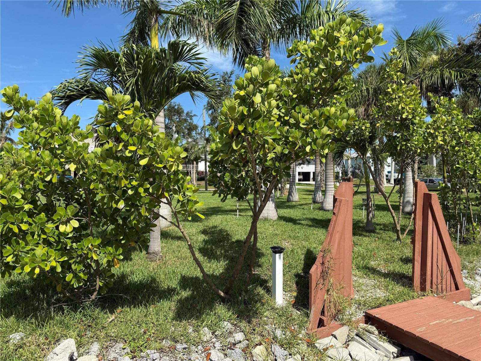 124 Burns Road, FL