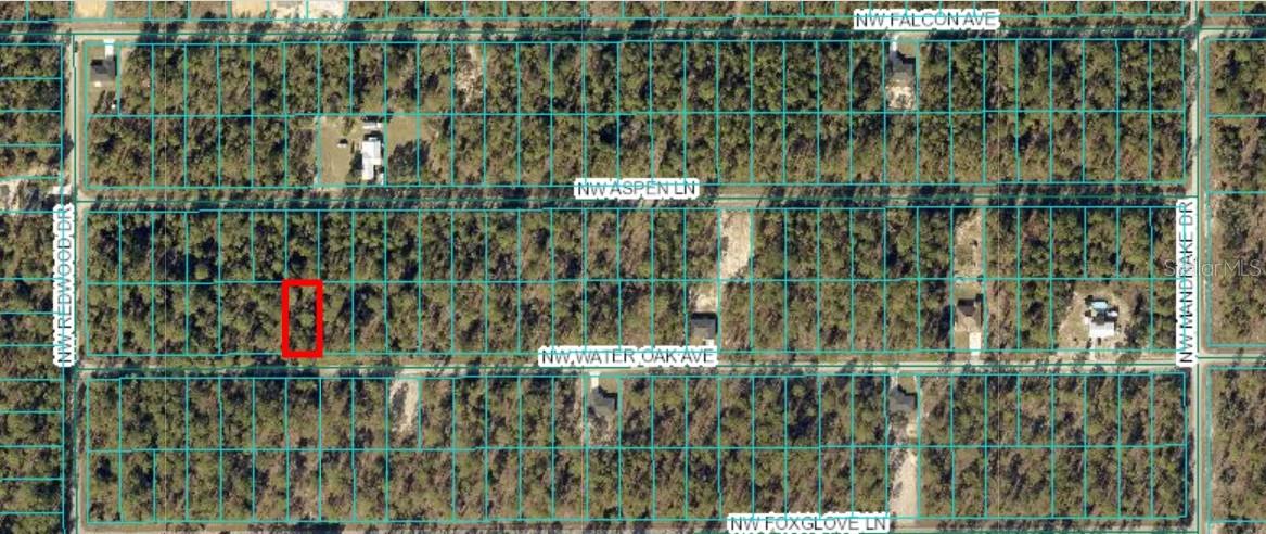 Tbd Water Oak, Lot 60, FL