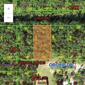 0 Orchid, FL