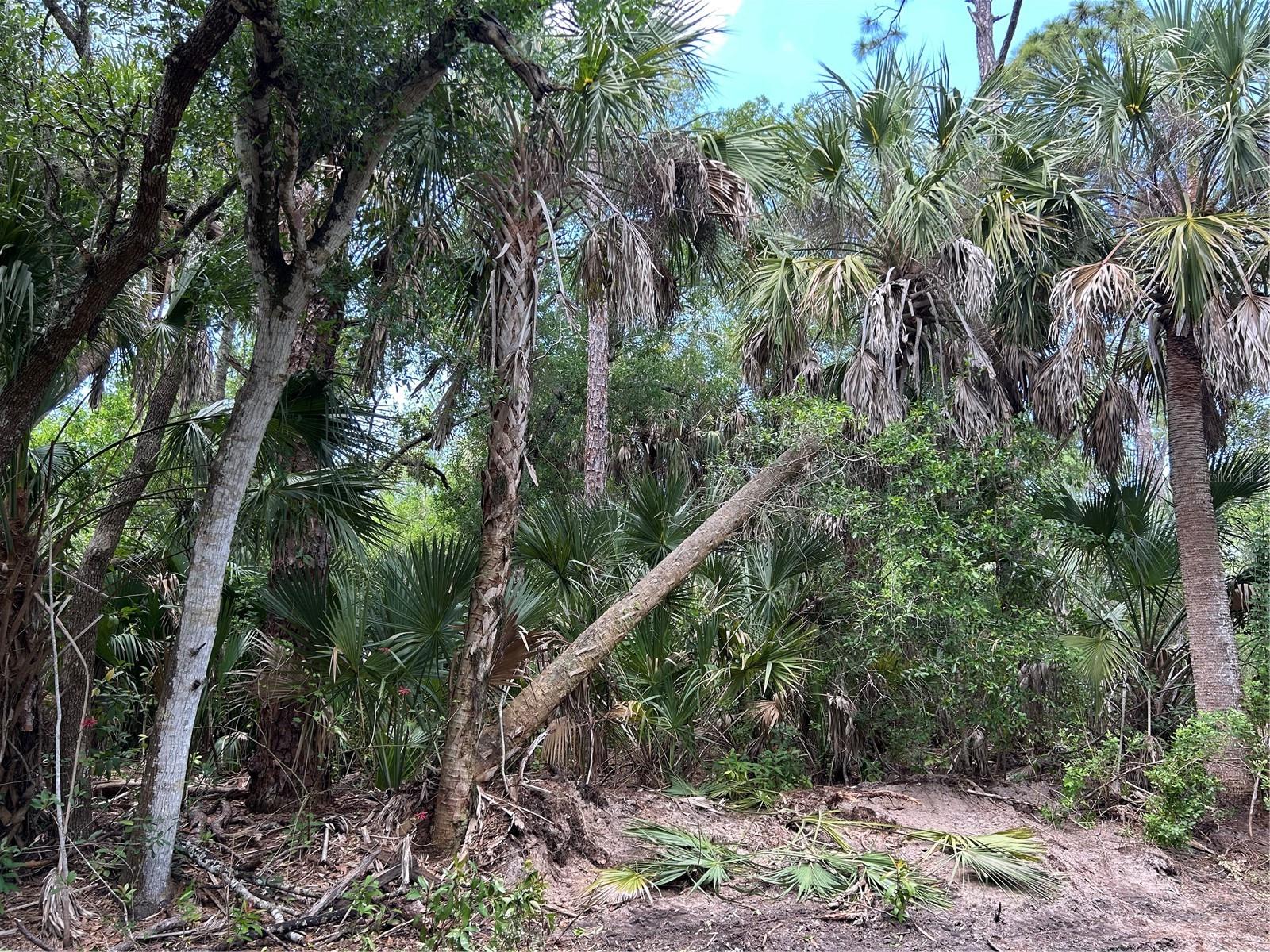 7022 Riverside Drive, FL