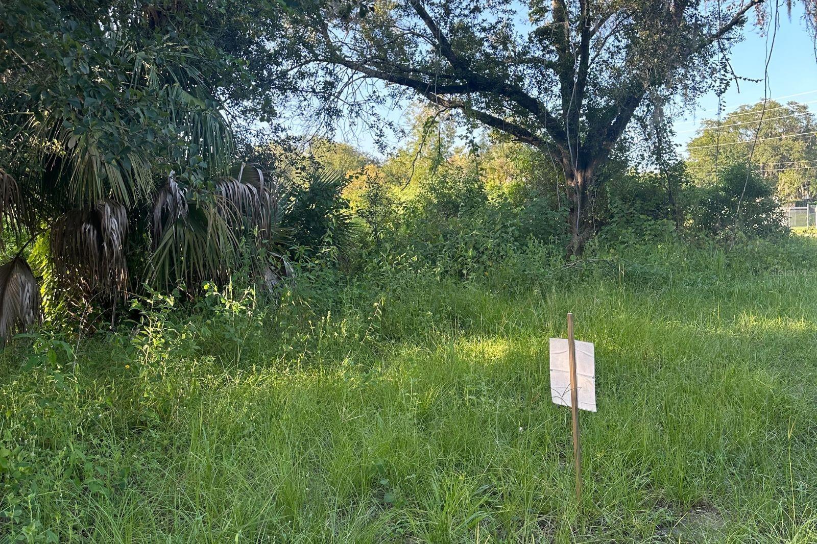 0 Butler Avenue, FL