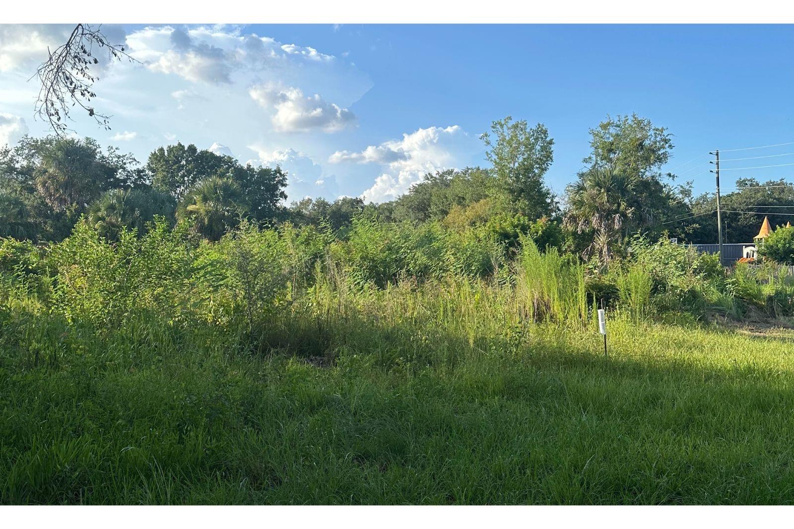 0 Butler Avenue, FL