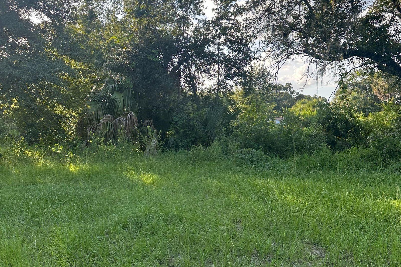 0 Butler Avenue, FL