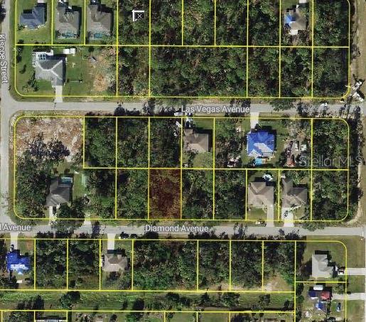 Diamond Avenue, FL